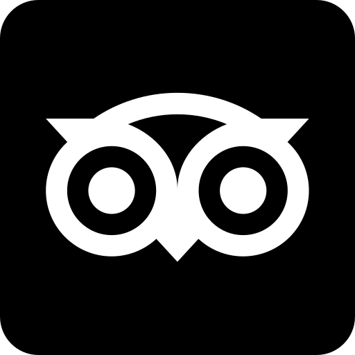 Tripadvisor Brand Logo